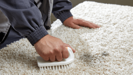 Professional Rug Cleaning Cardigan