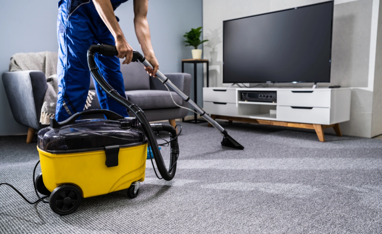 Extract Rug Cleaning Cardigan Contact Office